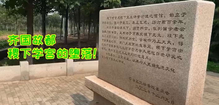 任可：“他们都叫我抑郁症网红”